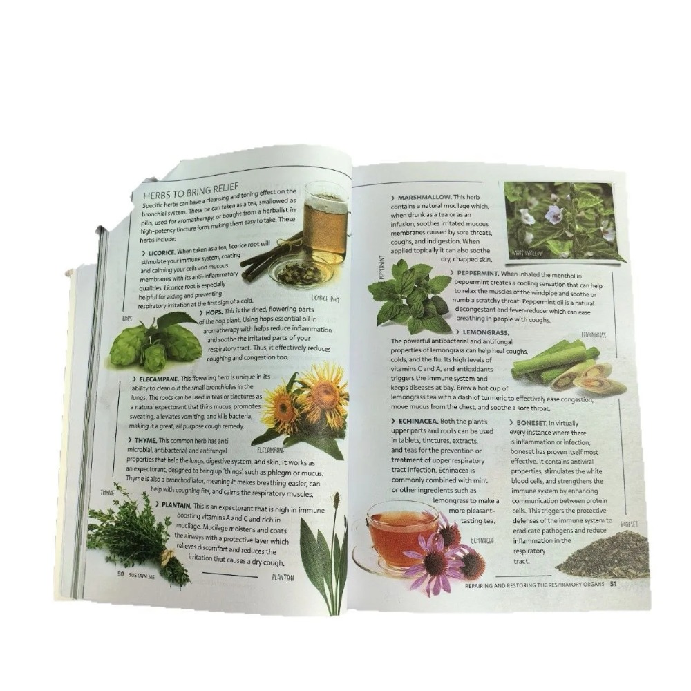 Sustain Me หนังสือปกอ่อนภาษาอั - Health Wellness Foundation บทวิจารณ์และราคา