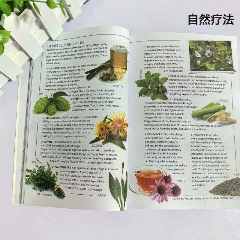 Sustain Me หนังสือปกอ่อนภาษาอั - Health Wellness Foundation บทวิจารณ์และราคา